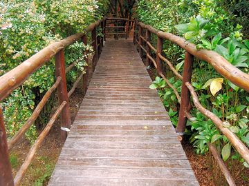 Lovers lane
