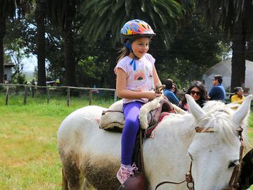 Horse riding tours for all the family