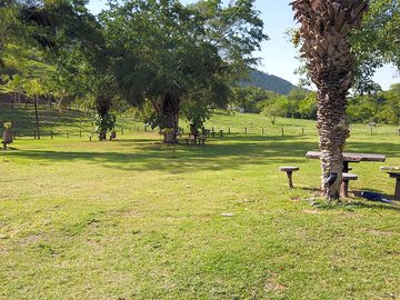 Grass pitches with trees for shade