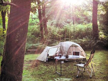 Shaded pitches in the woods