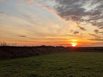 The field at sunset