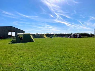 Grass tent pitches