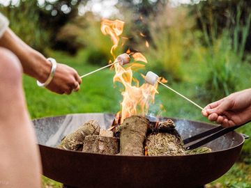 Marshmallow taosting