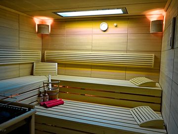 One of the site's saunas