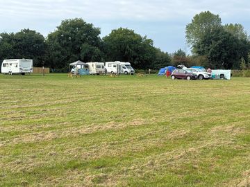 Grass pitches