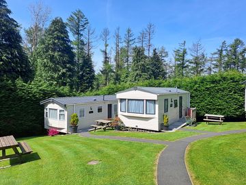 Caravans surrounded by greenery
