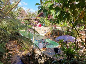 Swimming pool by the restaurant terrace