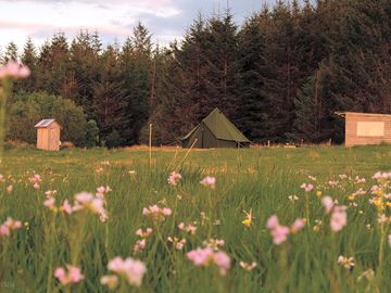 Fall asleep in the beautiful bell tent set within in a natural meadow.