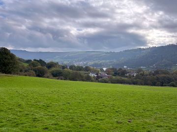 Field views