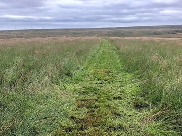 Lovely path down to the burn, just right to walk dog in the morning with a cup of coffee