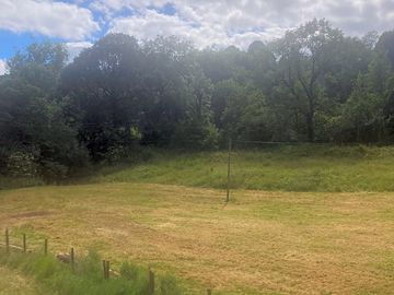 Tree-lined camping field