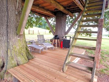 Decking beneath the treehouse