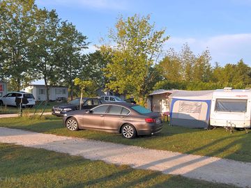 Dog-friendly campsite