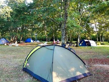 Big or small tents welcome