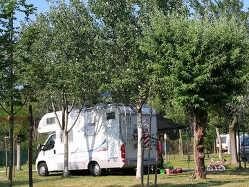 Grass pitches