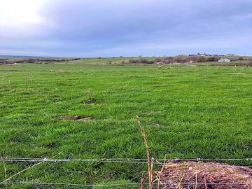 Fields in every direction