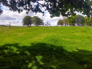 Open skies