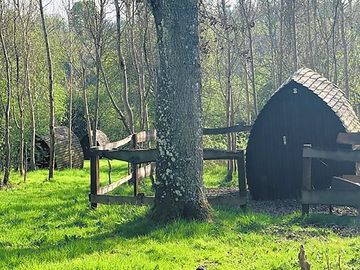 Camping pod by the trees