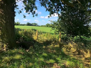 Public footpath next to paddock