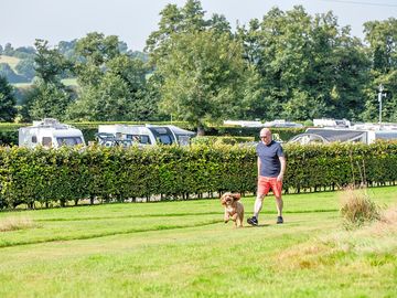 Poston mill touring park - dog field