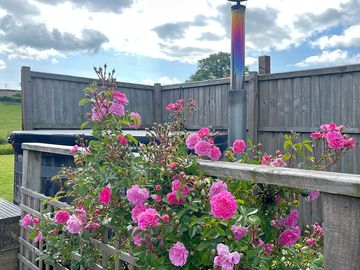 Hot tub and roses