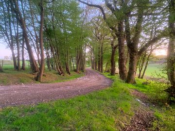 Local walks