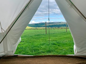 View from inside tent