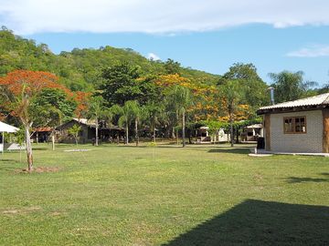 Grass pitches