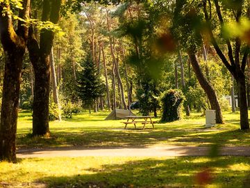 Tent in-between the trees