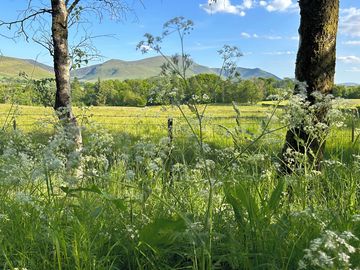 View of Skiddaw (added by manager 03 Aug 2023)