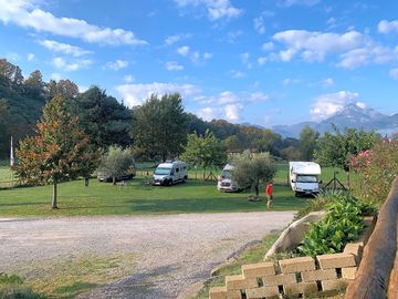 Grass pitches with trees for shade