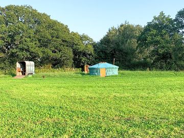 Mead yurt