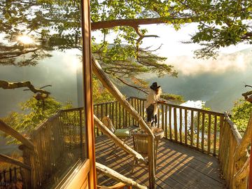 Views over trees