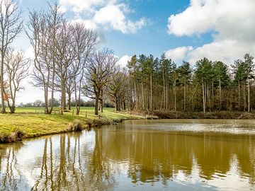 Lakes on site