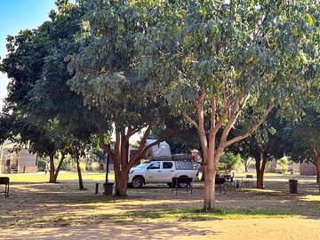 Grass campsite with electric points