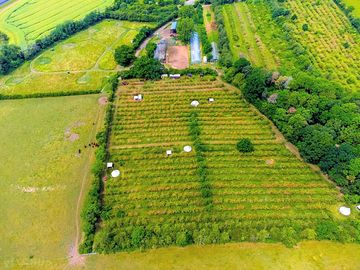The camping meadow is top left with glamping bells in the orchard next door. Check out the space!!