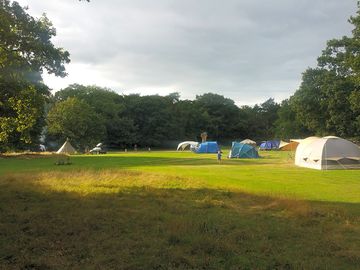 Grass tent pitches