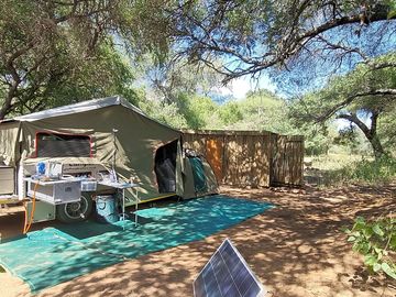 Set up camp under trees