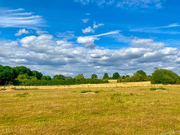 Beautiful open spaces perfect for bird spotting and attracting local wildlife