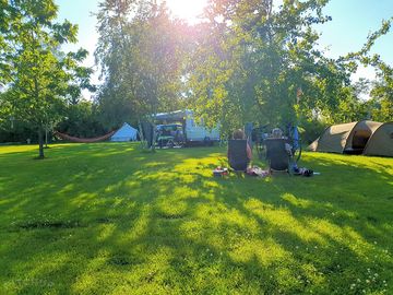 Grass pitches