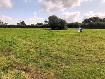 Grassy pitches