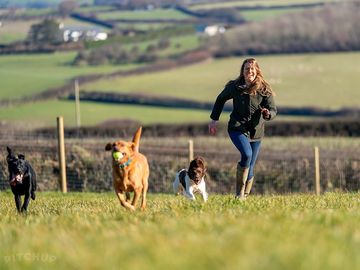 Secure dog walking paddock for all the family
