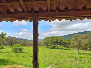 View from the site