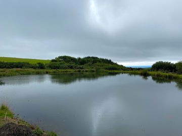 Calm waters