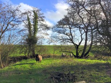 The grass management team