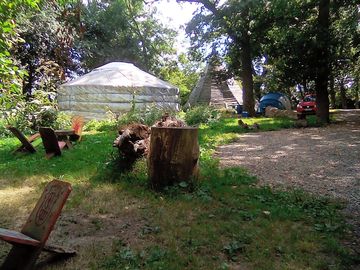 A yurt at the top of the site and under the oaks