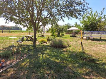 Shaded pitches and play area for kids and dogs