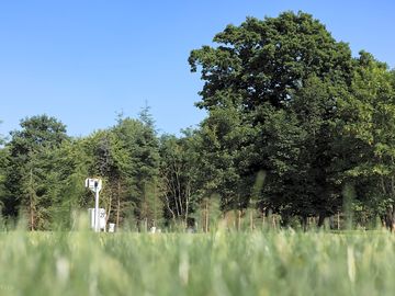 Around the site