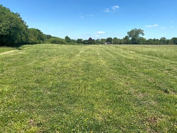 Views over the grassy pitches