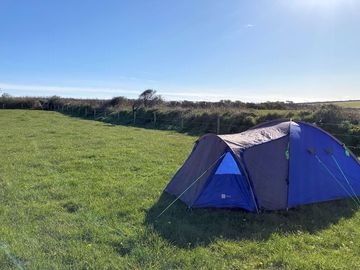 One tent testing out the site for the summer